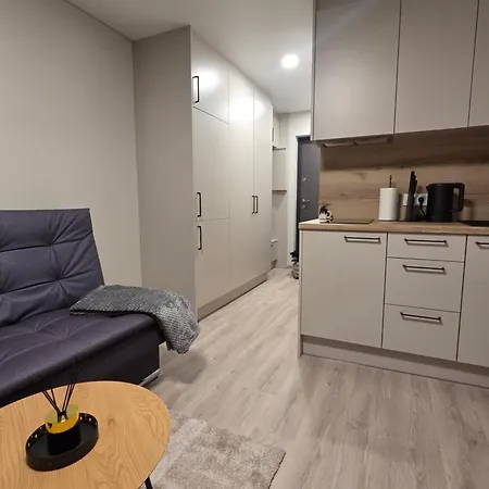 Apartament Algirdo 3 Wilno