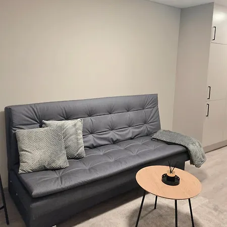 Algirdo 3 Apartament Wilno