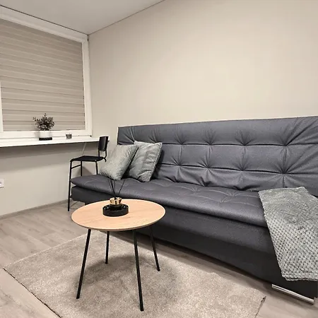 Apartament Algirdo 3 *