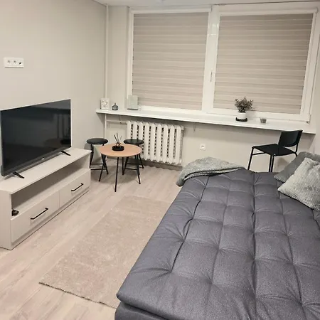 Apartament Algirdo 3 *
